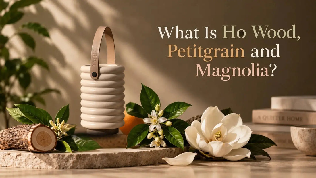 What Is Ho Wood, Petitgrain and Magnolia? A Guide to Uncommon Fragrance Notes
